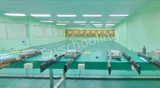 Next Gen International School Next Gen International School Gallery