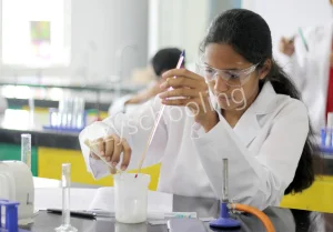 Bodhi International School Gallery