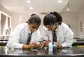Bodhi International School Gallery