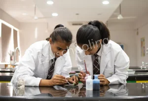 Bodhi International School Gallery