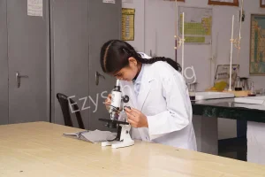 Manava Bharti India International School Gallery