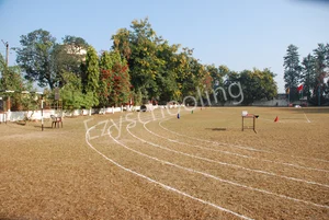 Summerfield School Gallery