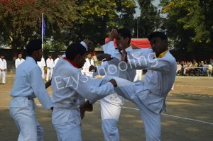 Summerfield School Gallery