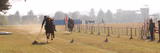 Rashtriya Indian Military College Gallery