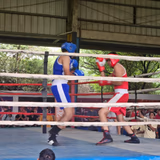 Delhi Public School Gallery