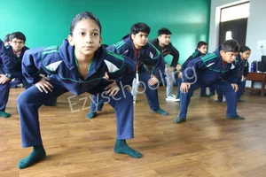 DLF Public School Gallery