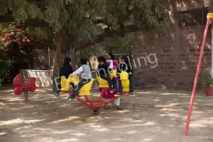 Mayoor Chopasni School Gallery