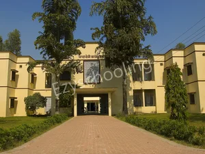 Vikas Bharti School Gallery