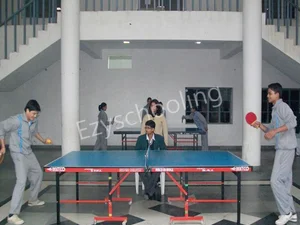 Vikas Bharti School Gallery