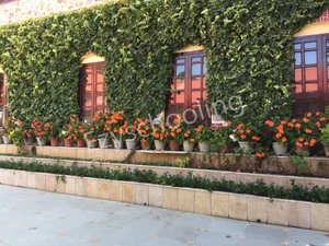 Guru Nanak Fifth Centenary School Vincent Hill - Boys Gallery