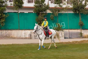 The TonsBridge School Gallery