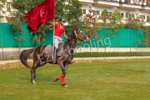 The TonsBridge School Gallery