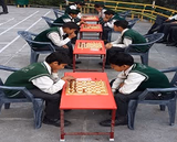 Guru Nanak Public School Gallery