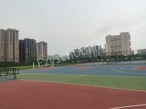 St. Xavier's High School Gallery