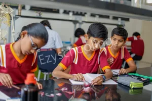 Redbridge International Academy Gallery