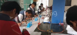 Sri Chaitanya School Gallery