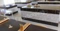 De Paul International Residential School Gallery