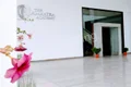 The Amaatra Academy Gallery
