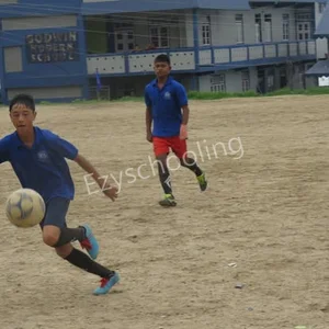 Godwin Modern School Gallery