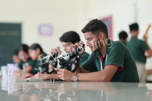 Mount Index International School Gallery