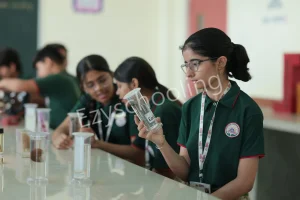 Mount Index International School Gallery