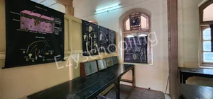 St. Helena's School Gallery