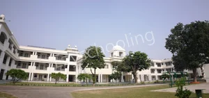 Yadavindra Public School Gallery