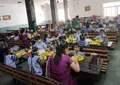 Modern Sandeepni School Gallery