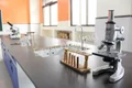 The Orbis School Gallery