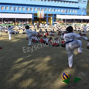 Vikhe Patil Memorial School Gallery