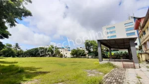 St. Francis De Sales School Gallery