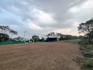 Millennium National School Gallery