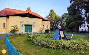 Dr. Graham's Homes Gallery