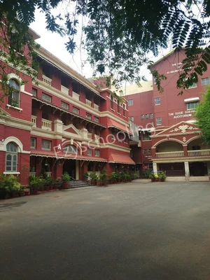 St. Helena's School Gallery