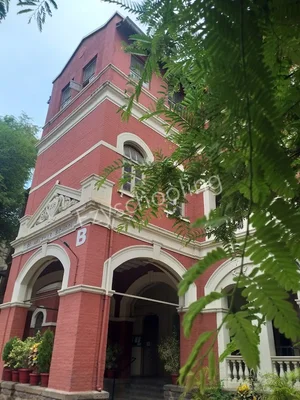 St. Helena's School Gallery