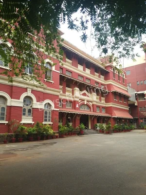 St. Helena's School Gallery