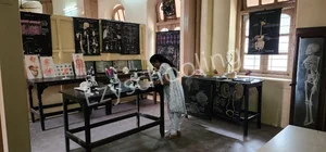 St. Helena's School Gallery