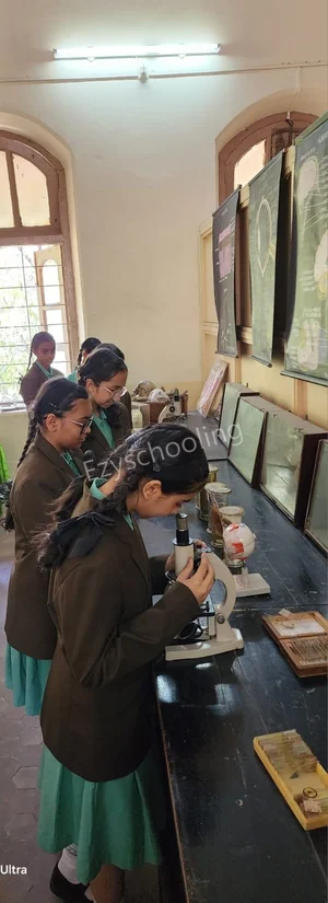 St. Helena's School Gallery