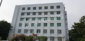 Tree House High School Gallery