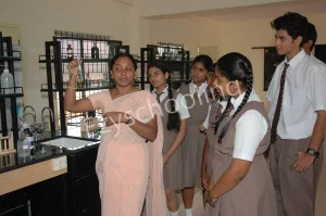 New Millennium School Gallery