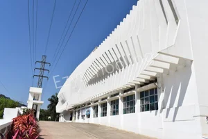 Ryewood International School Gallery