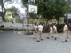 Guru Nanak Public School, Camp, Pune School BuildingImage 2