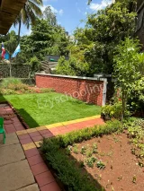 Jumpstart International Gallery