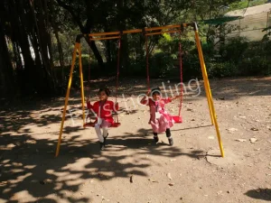 A W Sindhu Vidya Bhavan Gallery