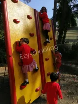 A W Sindhu Vidya Bhavan Gallery