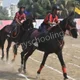 The Tigerish School, Loni Kalbhor, Pune School BuildingImage 2