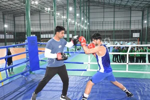 Nosegay Public School, Sri Ganganagar Gallery