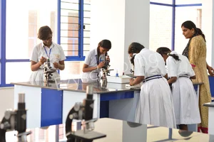 Lightworkers Academy Gallery