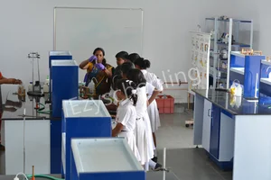 Lightworkers Academy Gallery