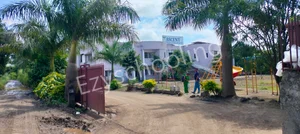 Ascent International School Gallery